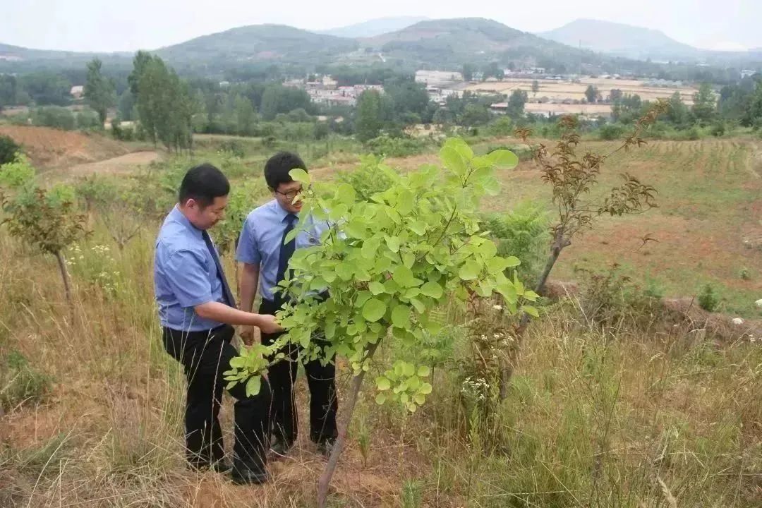 舞鋼:探索形成“兩融三策”礦山生態(tài)修復新模式